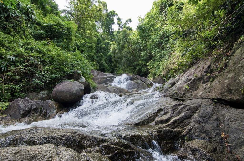 КАО ЛАК SAFARI 1 день